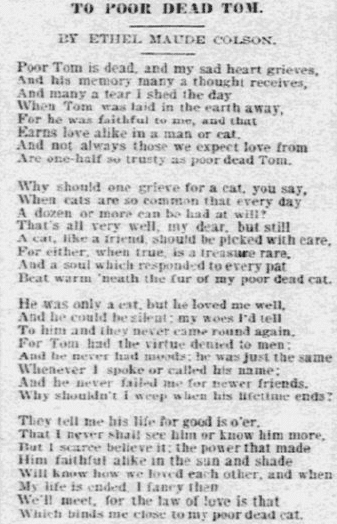 poem Ethel Maude Colson wrote to her cat, Daily Inter Ocean newspaper ...