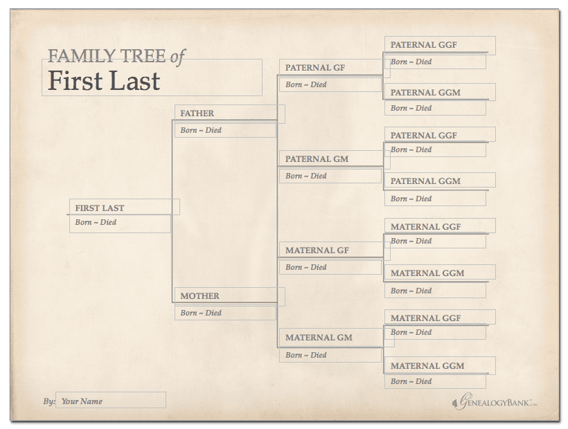 Family Tree Template & How To Get Started | GenealogyBank