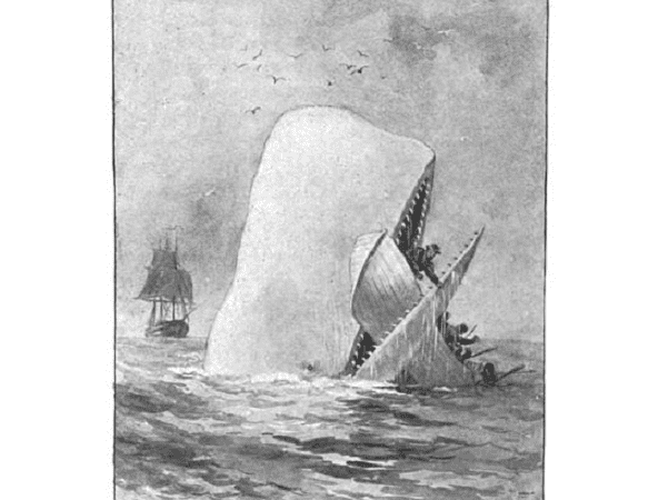 Illustration: from an early edition of Moby-Dick by Augustus Burnham Shute, 1892. Credit: Wikimedia Commons.