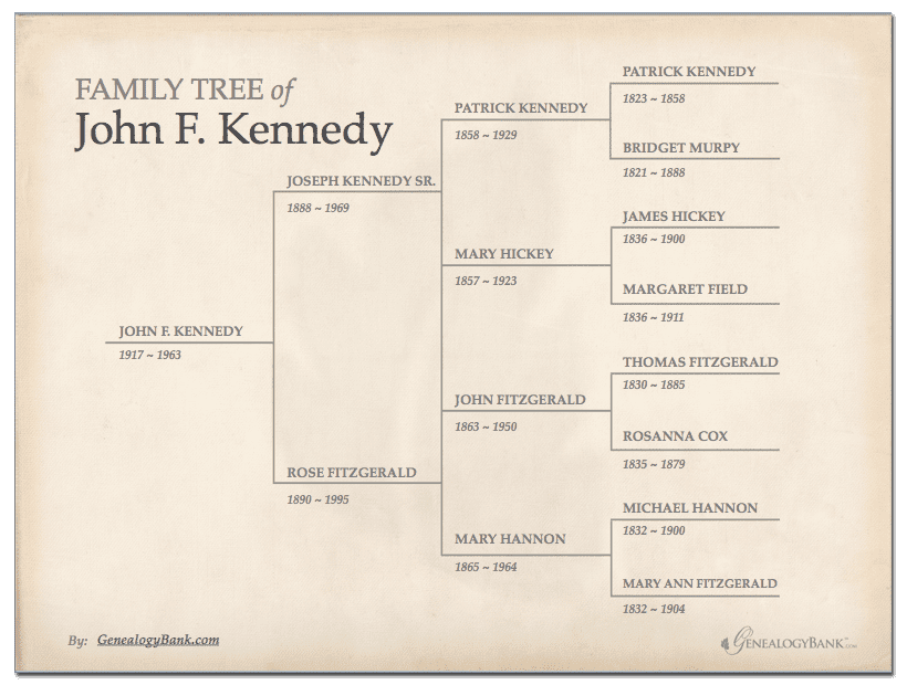 John F. Kennedy Family Tree Chart