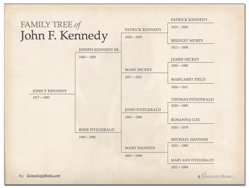 blank family pedigree chart