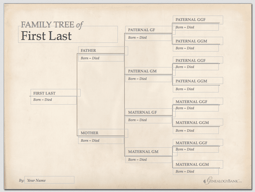 the best genealogy site free