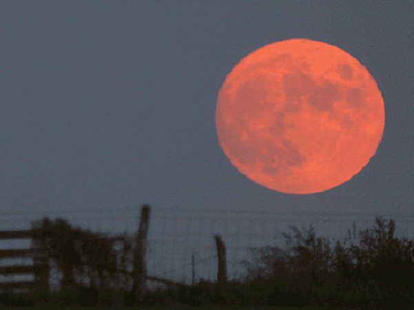 Photo: a full moon rising. Credit: Roadcrusher; Wikimedia Commons.
