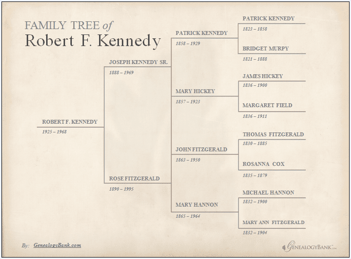 Assassination of Robert F. Kennedy: Shot after Victory Speech