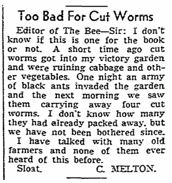 letter about a WWII Victory Garden, Sacramento Bee newspaper article 30 July 1943