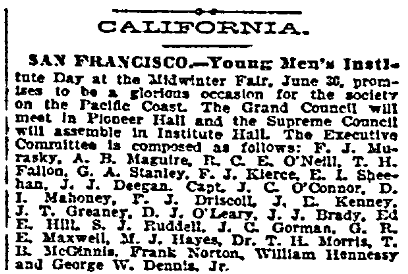 article about the Young Men Institute's Day, Irish World newspaper article 9 June 1894