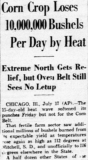An article about the heat wave devastating the corn crop, Dallas Morning News newspaper article 18 July 1936
