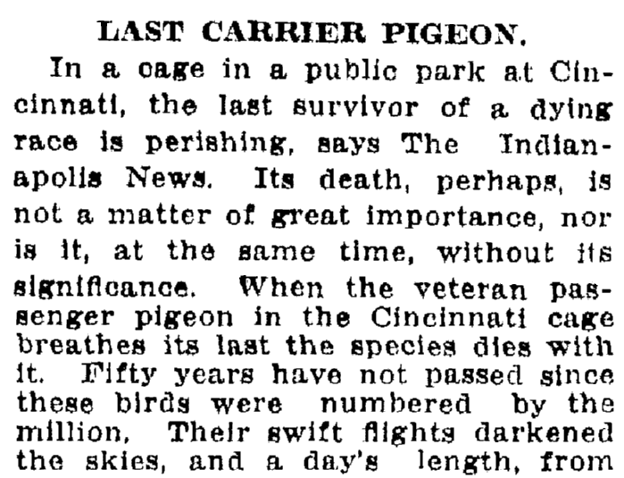 An article about the extinction of the passenger pigeon, Jackson Citizen Patriot newspaper article 8 September 1914