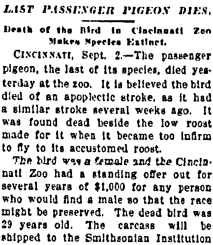 An article about the extinction of the passenger pigeon, Kansas City Star newspaper article 2 September 1914
