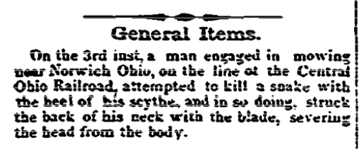 An article about an accident with a scythe, Stamford Advocate newspaper article 17 August 1860