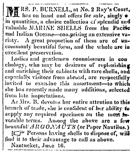 An ad for Mrs. P. Burnell's seashell shop, Nantucket Inquirer newspaper advertisement 8 September 1841