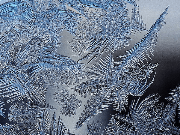 Photo: Ice-ferns. Credit: Schnobby; Wikimedia Commons.