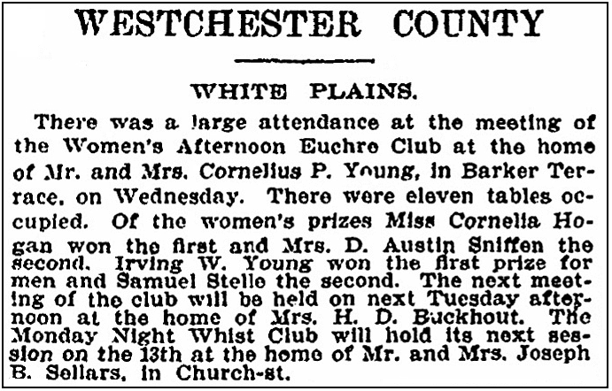 An article about Helen Sniffen, New York Tribune newspaper article 11 March 1899