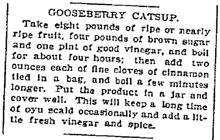 A recipe for gooseberry ketchup, Watertown Daily Times newspaper article 14 July 1900