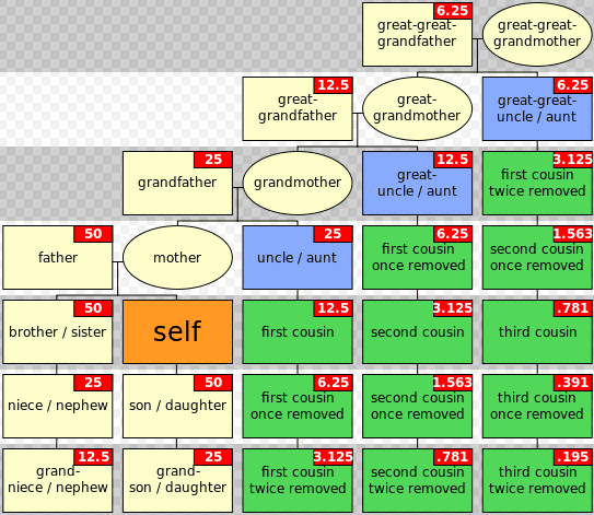 Illustration: a chart illustrating the different types of cousins, including genetic kinship marked within boxes in red which shows the actual genetic degree of relationship (gene share) with “self” in percentage (%)