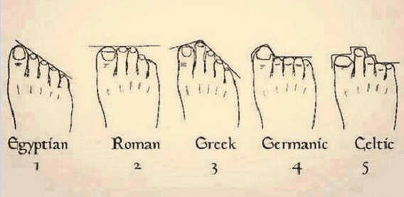 Ancestry Toe Chart