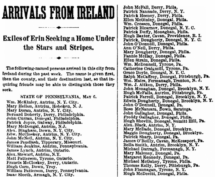 An Irish passengers list, Irish Nation newspaper article 20 May 1882