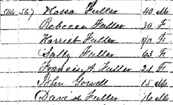 Source: GenealogyBank, “United States Census, 1850,” database with images, GenealogyBank (https://genealogybank.com/#), Sally Fuller, Lewiston, Lincoln, Maine, United States. (Original index: United States Census, 1850, FamilySearch, 2014.)