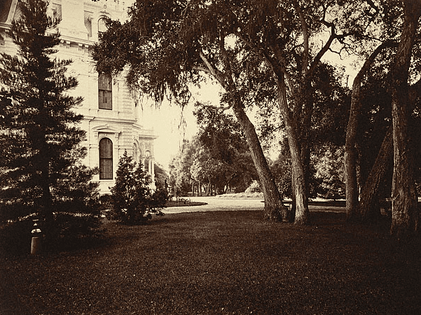 Photo: Sherwood Hall, Menlo Park, California. Credit: Carleton Watkins; Wikimedia Commons.