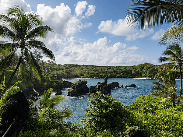 Waianapanapa State Park in East Maui, next to Hana. Credit: dronepicr; Wikimedia Commons.