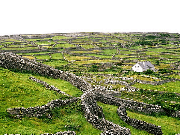 Photo: Inisheer (Inis Oírr), Aran Islands, Ireland. Credit: Eckhard Pecher; Wikimedia Commons.