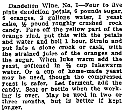 A dandelion recipe, Oregonian newspaper article 17 April 1914