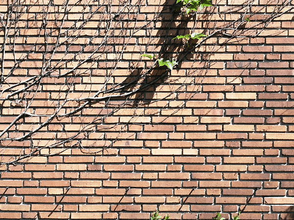 Photo: brick wall in Solna, Sweden. Credit: Håkan Svensson Xauxa; Wikimedia Commons.