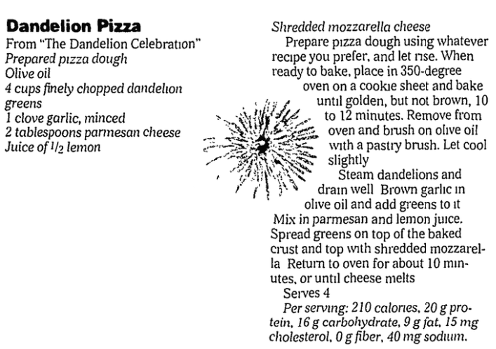 A dandelion recipe, State Journal-Register newspaper article 5 April 2006