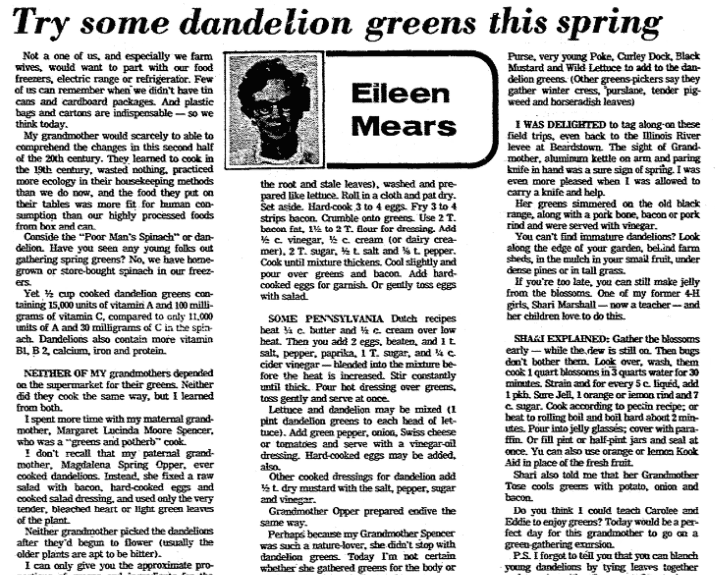 An article about dandelions, State Journal-Register newspaper article 15 April 1976