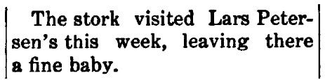 An article about Lars Petersen, Snowflake Herald newspaper article 20 September 1915