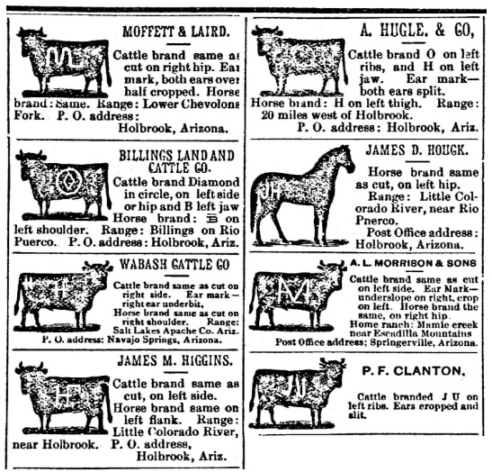 Ads for cattle ranches, St. Johns Herald newspaper advertisements 20 August 1885