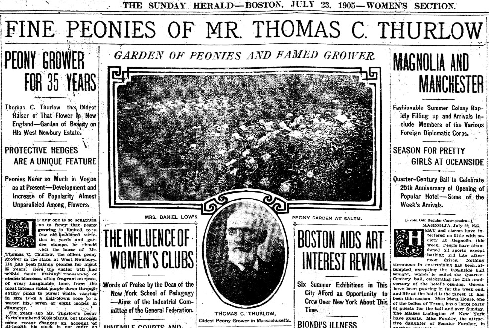 An article about Thomas Thurlow, Boston Herald newspaper article 23 July 1905