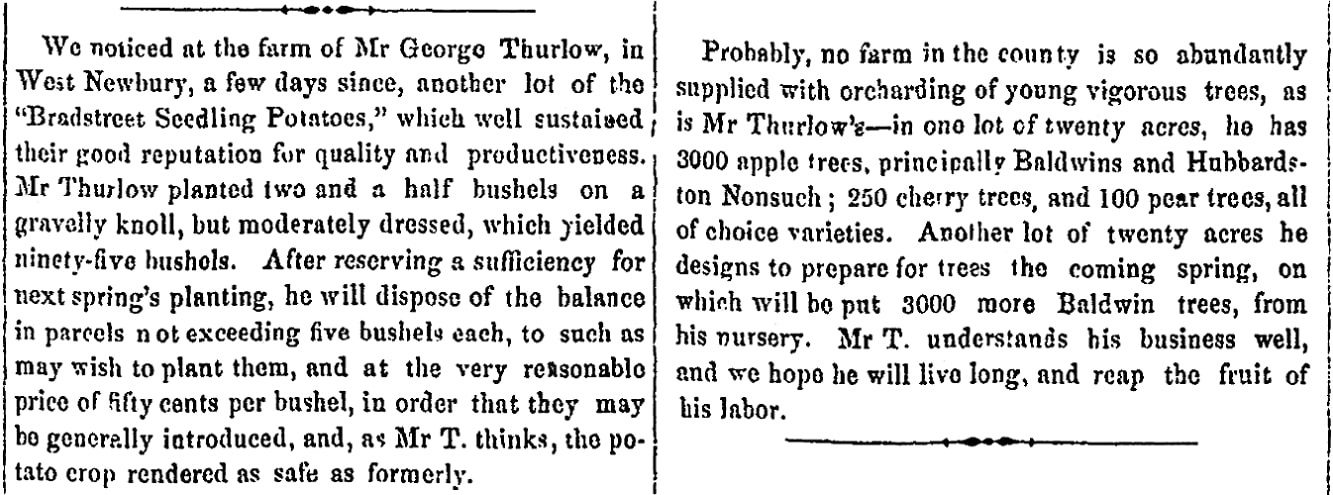 An article about George Thurlow, Newburyport Morning Herald newspaper article 1 November 1852