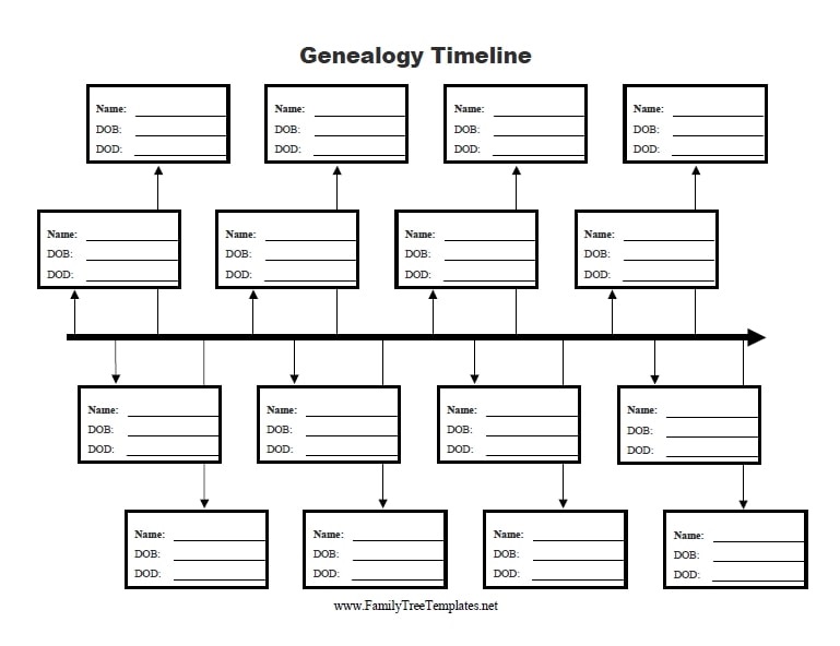 Photo: a genealogy timeline