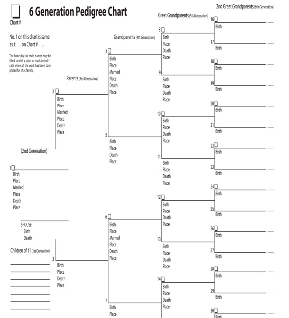 Starting Your Family Tree, Part II