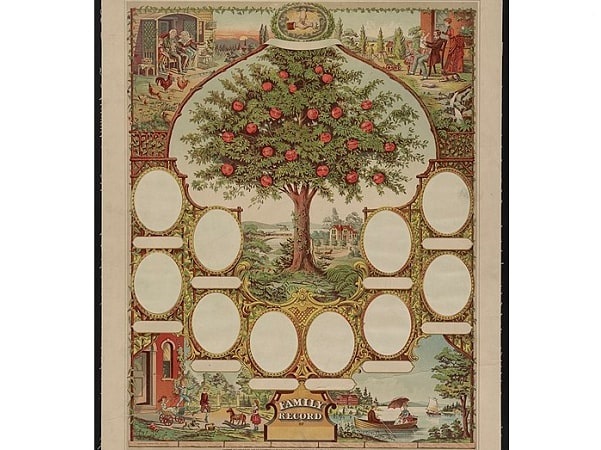 Photo: Family tree template by Chapman Bros., 1888. Credit: Library of Congress, Prints and Photographs Division.