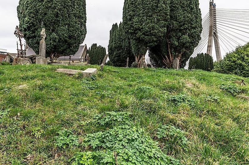 Photo: graveyard at St. Nahi’s Church, a very old church in Dundrum, Dublin, Ireland