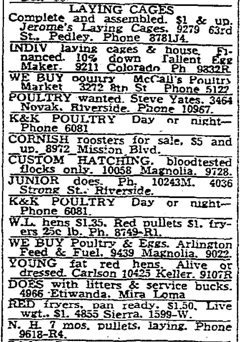 Various classified ads, Riverside Independent Enterprise newspaper article 19 January 1950