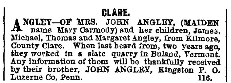 A "Missing Friends" ad, Irish World newspaper article 30 November 187