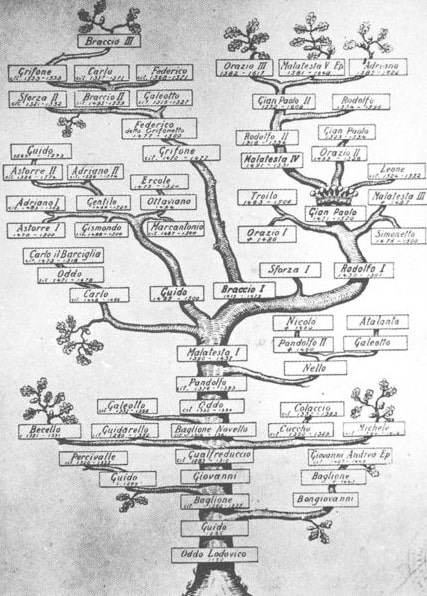 How to Become a Genealogist: Everything You Need to Know