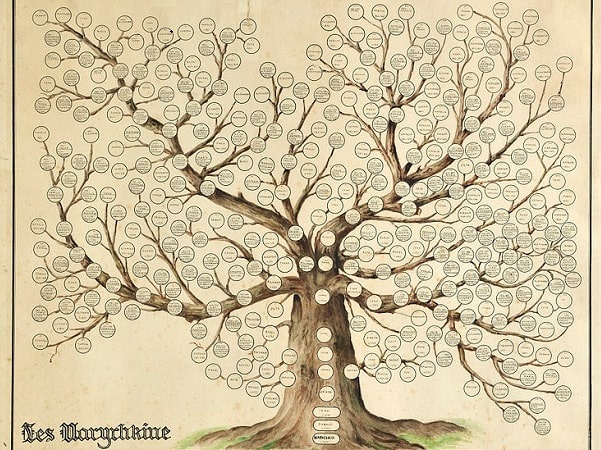 Photo: Narychkine family tree, 18th century. Credit: Wikimedia Commons.