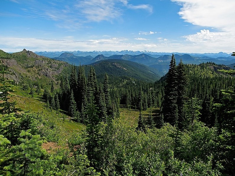 Photo: Mount Baker–Snoqualmie National Forest, Washington