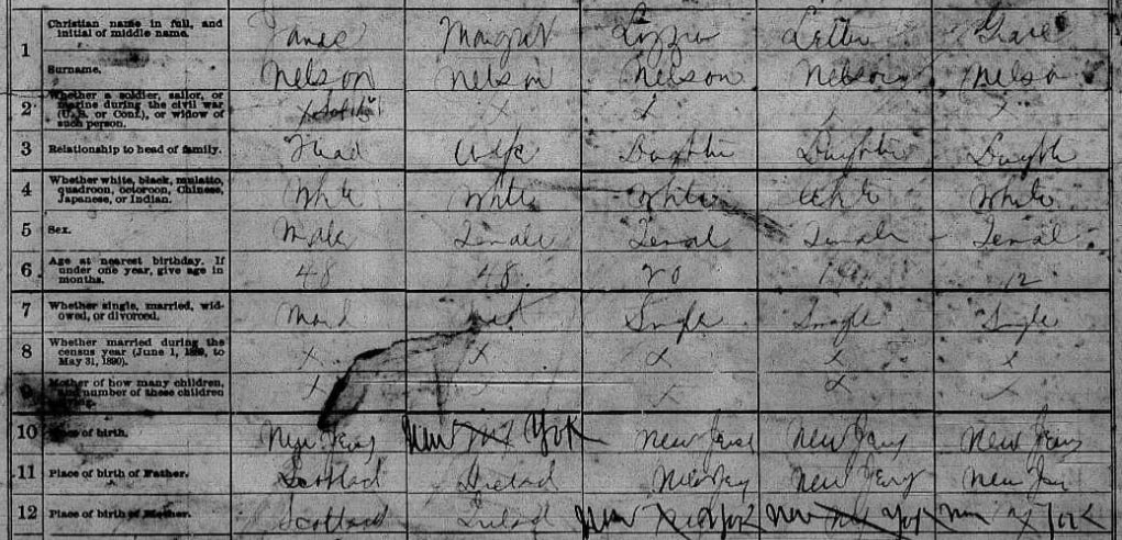 Photo: 1890 U.S. Census records for the Nelson family, Jersey City, Hudson, New Jersey.