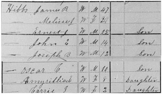 U.S. 1880 census, Stewart County, Tennessee, population schedule, 5 Civil District (indexed as Big Rock), pp. 1-2 (penned), dwelling 8, family 9, Carrie I. Hibbs in household of James R. Hibbs; digital image, GenealogyBank, (https://genealogybank.com: accessed 30 August 2022), citing FamilySearch collections.