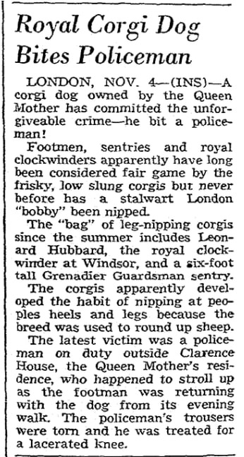 An article about a royal corgi, Columbus Dispatch newspaper article 7 November 1954