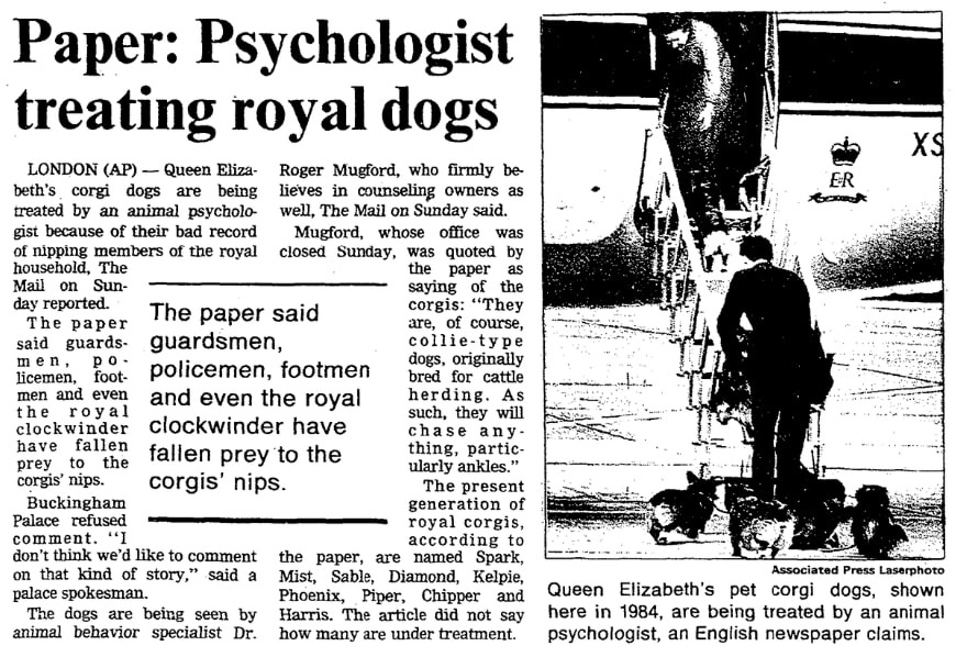 An article about the royal corgis, Daytona Beach News-Journal newspaper article 7 November 1988