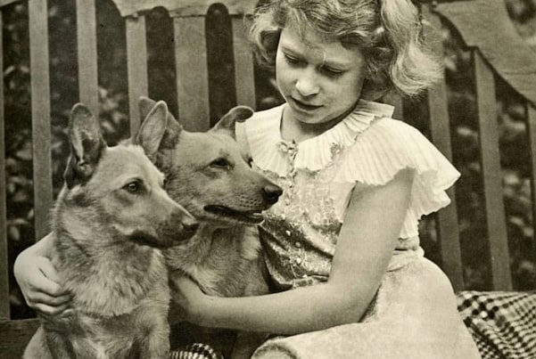 Photo: Princess Elizabeth with the first two Pembroke corgis to join the House of Windsor, Dookie and Jane, in 1936. Courtesy of the American Kennel Club Library and Archives.