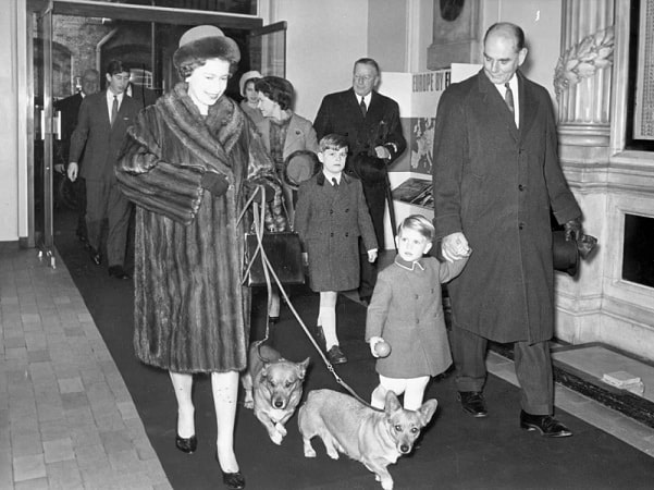 Photo: Queen Elizabeth II accompanied by two of her sons, Princes Andrew (10) and Edward (6), two of the royal corgis, and unidentified palace officials. Wichita Falls Record-News (Wichita Falls, Texas), 31 December 1970, page 9.