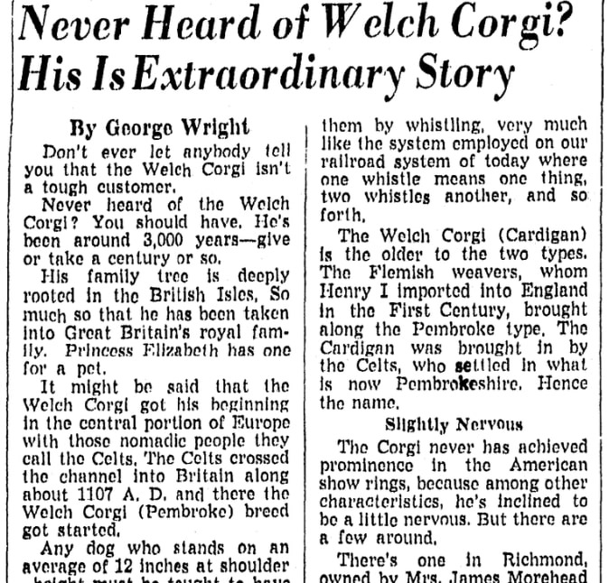 An article about a corgi, Richmond Times-Dispatch newspaper article 26 March 1950