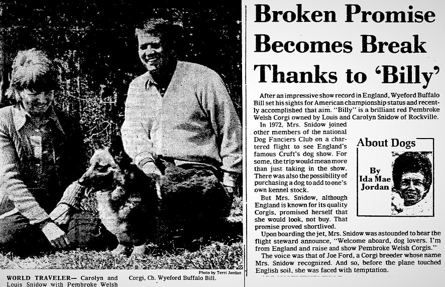 An article about a corgi, Richmond Times-Dispatch newspaper article 31 March 1974